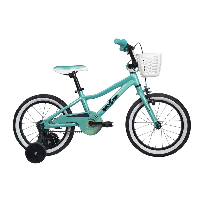 Hot Sell Steel Frame Bike for Children/Fashion Cool 14