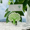 Cartes "Petit Arbre"