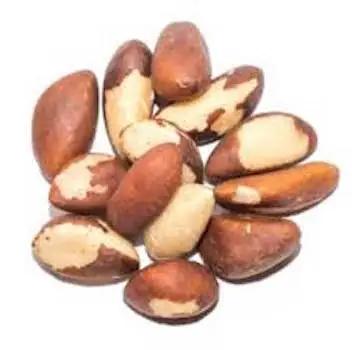 Hot Selling Best Quality Good Price Brazil Nuts for Wholesale Purchase