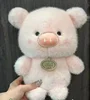 883081 Pig
