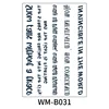 WM-B031