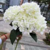 C-1 blanco lechoso