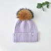 Violet avec pommeau marron