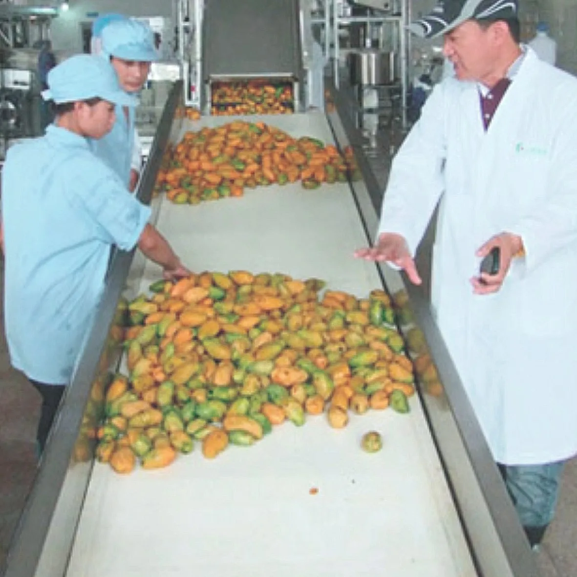 Factory Customized Automatic Industrial mango Juicer Production Line Machine