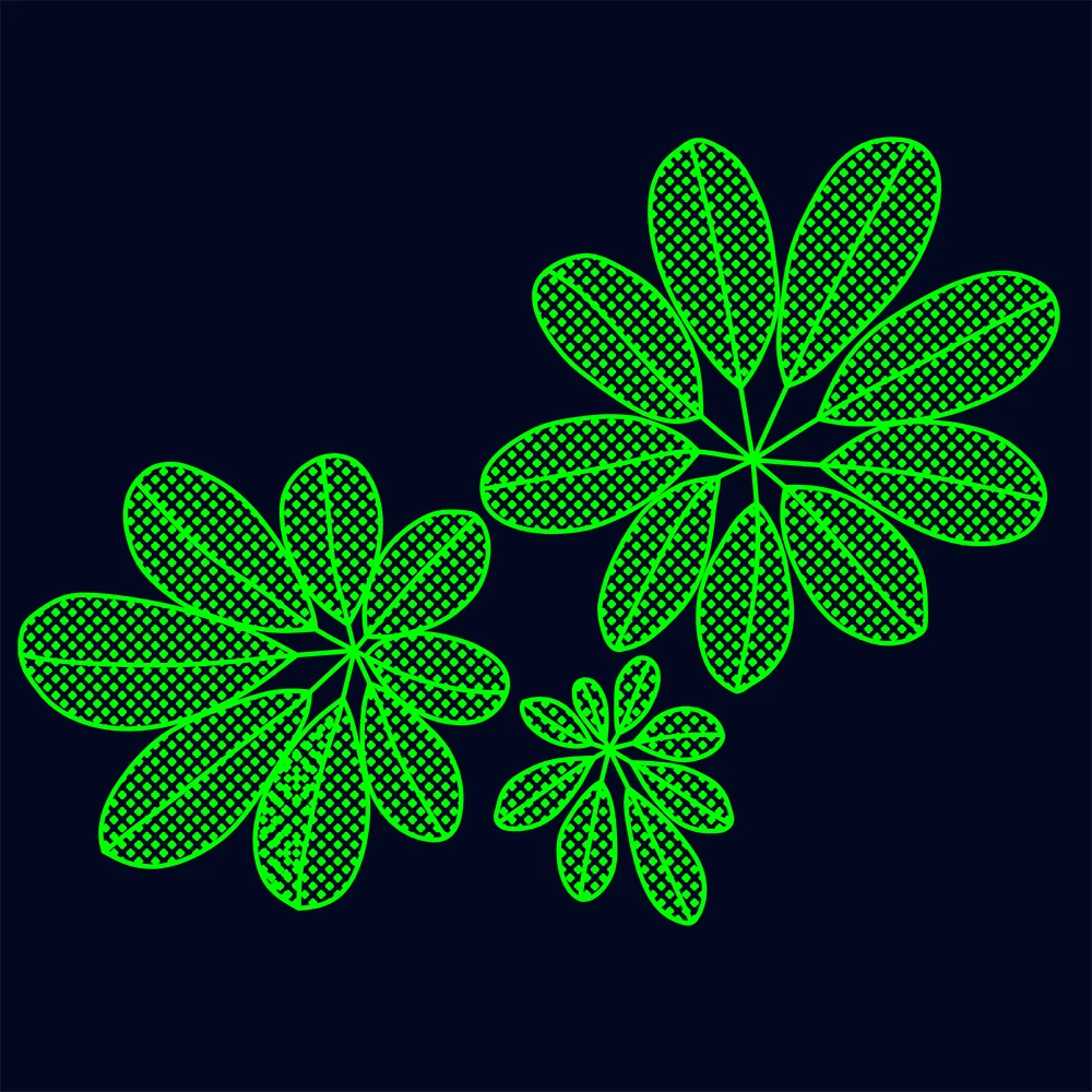 Световое освещение в комнате или на открытом воздухе