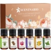 Essential oils Set