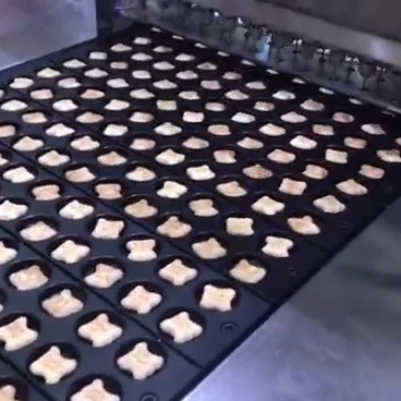 Biscuit Injection Machine Line Printing Koala Bear Hello Panda Biscuit Machine