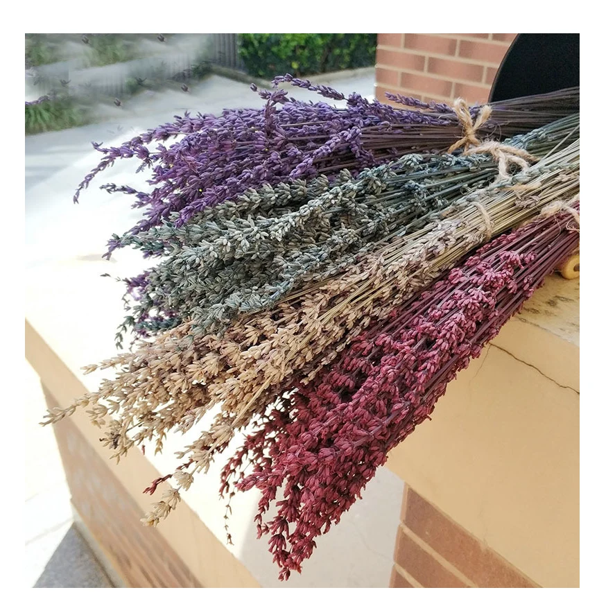 Natural Flower Arrangement Plant Rosas Preservada Lavanda Preserved Flower  Dried Flowers Decoration Maison Drie Lavender - Buy Dried Lavender,Flower  Arrangement,Rosas Preservada Lavanda Product on 