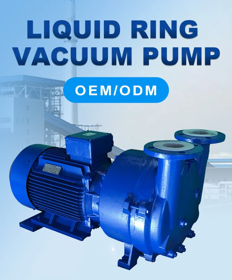 2bv Series Petrochemical Pharmaceutical Industry Gas Vapor Foodgrade