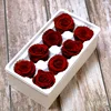 ZL-YSH-08-11red