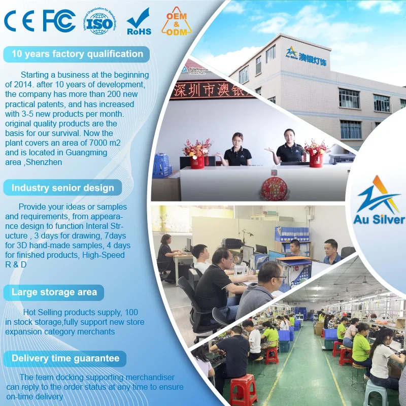 Shenzhen Au Silver Lighting Ornaments Co., Ltd.