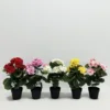 30cm tall plastic pot P230519-30