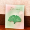 Ginkgo Leaf