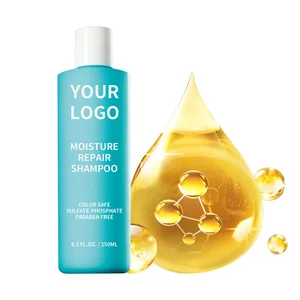 Anti-Dandruff Refreshing Repair Nourishing Moisturizing Hair Shampoo Argan Oil Keratin Sulfate-Free Damaged Hair Recovery