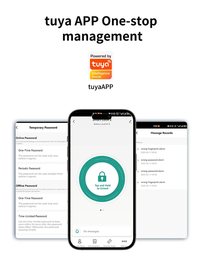 Tuya Ttlock Wooden Door Office Room Bedroom Handle Door Lock Electronic