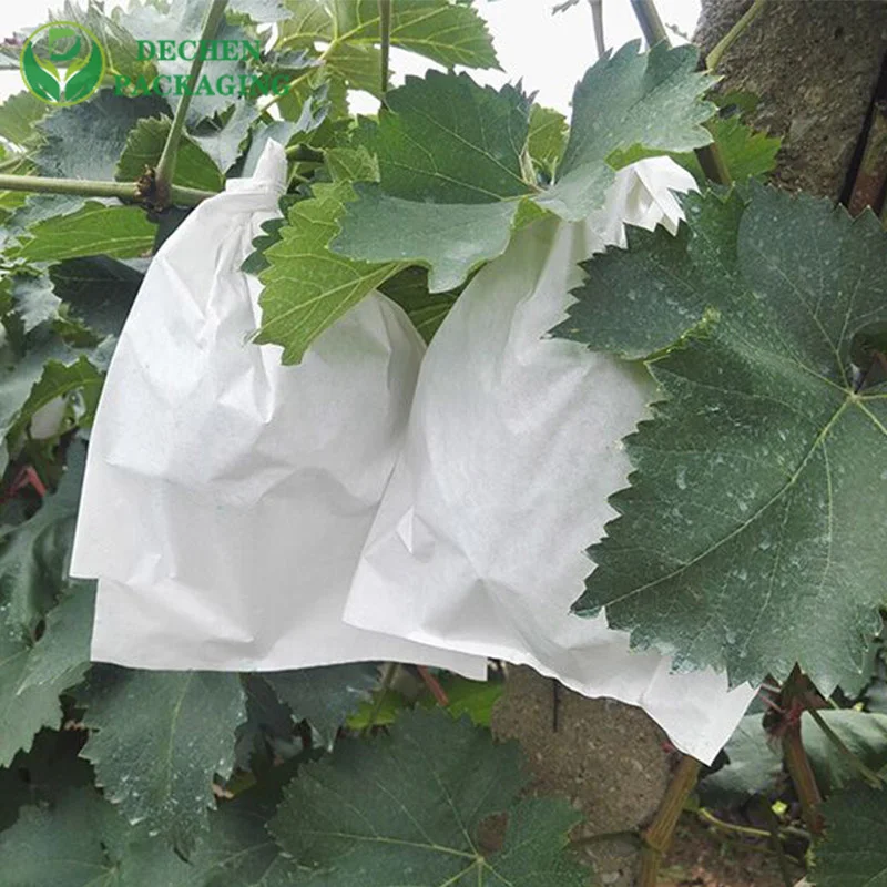 Pomegranate Bag Fruit Protection Bags Agriculture