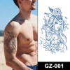GZ-001