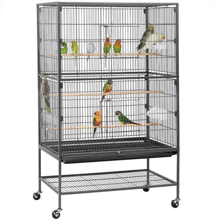 buy cage birds