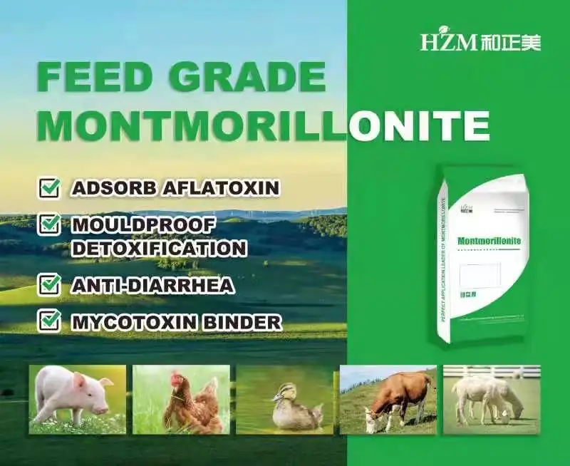 Modified Bentonite HSCAS As Toxin Binder for Aflatoxin