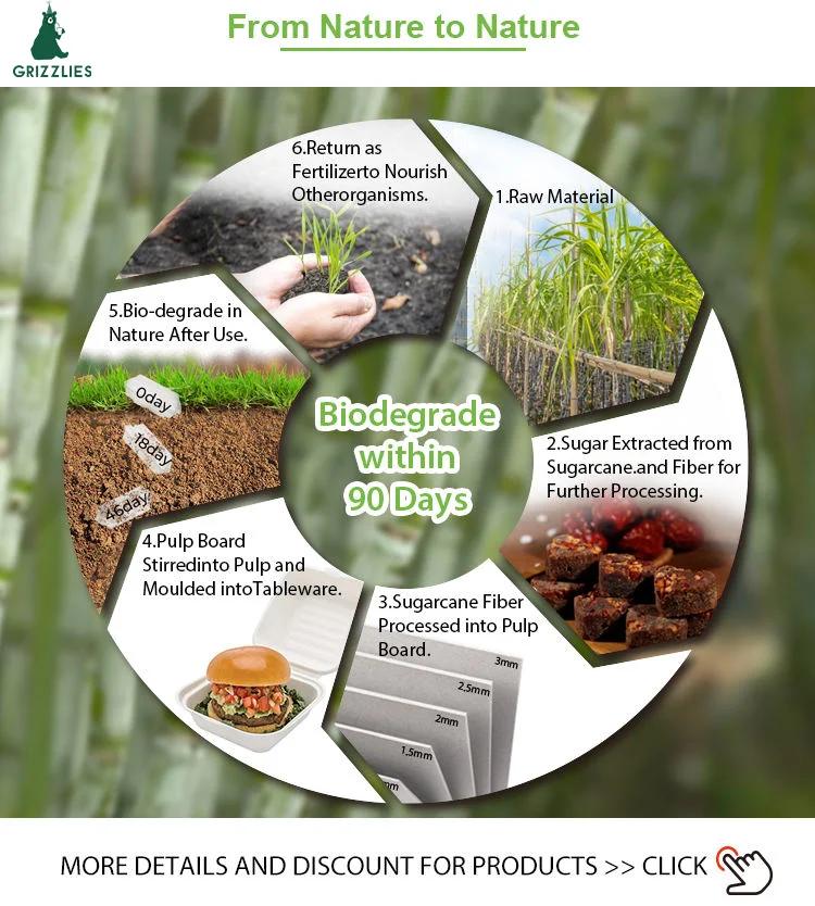 Degradable Disposable Biodegradable Take Away Package Picnic Zuckerrohr Teller Bagasse Sugarcane Sugar Cane Pizza Paper Plate