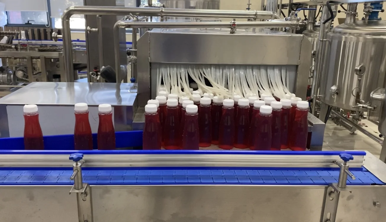 Institute Lab Scale Fruits Processing Line Fresh Fruit Puree Pulp Paste ...