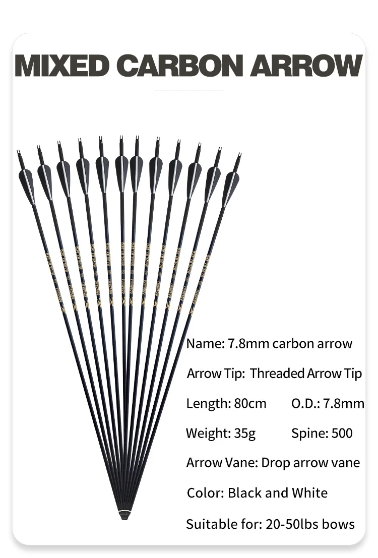 Spg Compound Bow Set 3060 Lbs Adult Outdoor Archery Equipment Sight Mixed Carbon Arrow Shooting