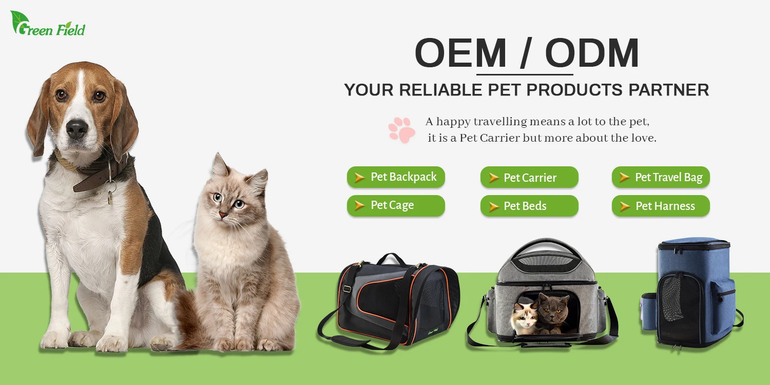 Fvlcfuuxsae a3a - jpg pet