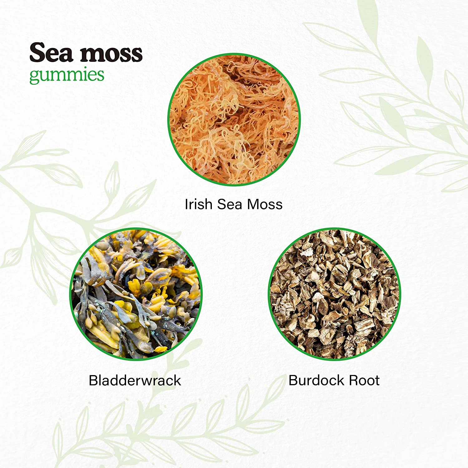 Фирменная натуральная многофункциональная 1600 мг ирландский морской мох, диетические добавки