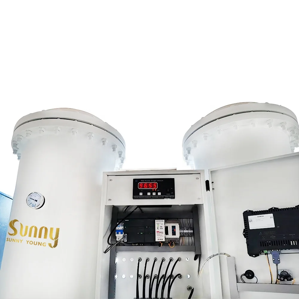 Integrated Plug&Play  20Nm3/h  with filling station O2 gas generator hi-quality hi-purity Containerization psa oxygen generator