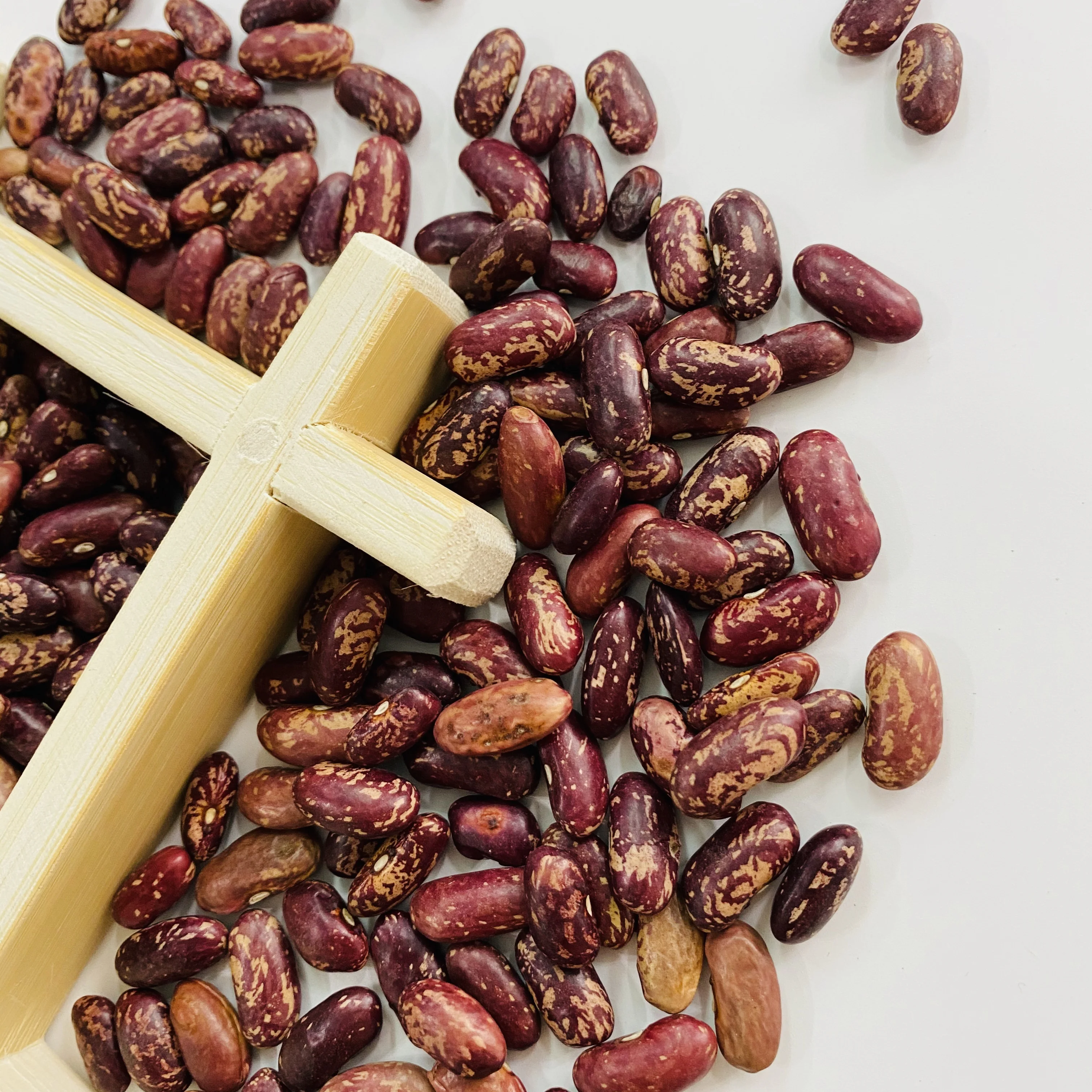 purple speckled kidney bean long shape cooking red kidney beans