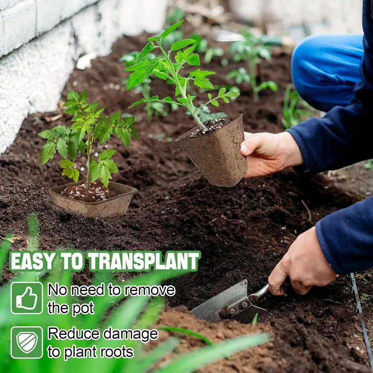 Biodegradable Nursery Pots With Humidity Dome Square Seeding Starter Peat Pots for Seedlings Garden Vegetable Flower Germination