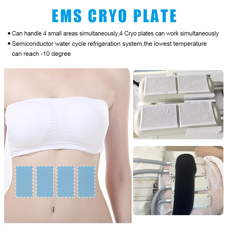 3 IN 1 10D Lipo Laser EMS Cryo Pad Weight Loss Fat Burning Cellulite Body Slimming 10D Maxlipo Master Machine
