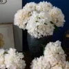 Blanco lechoso