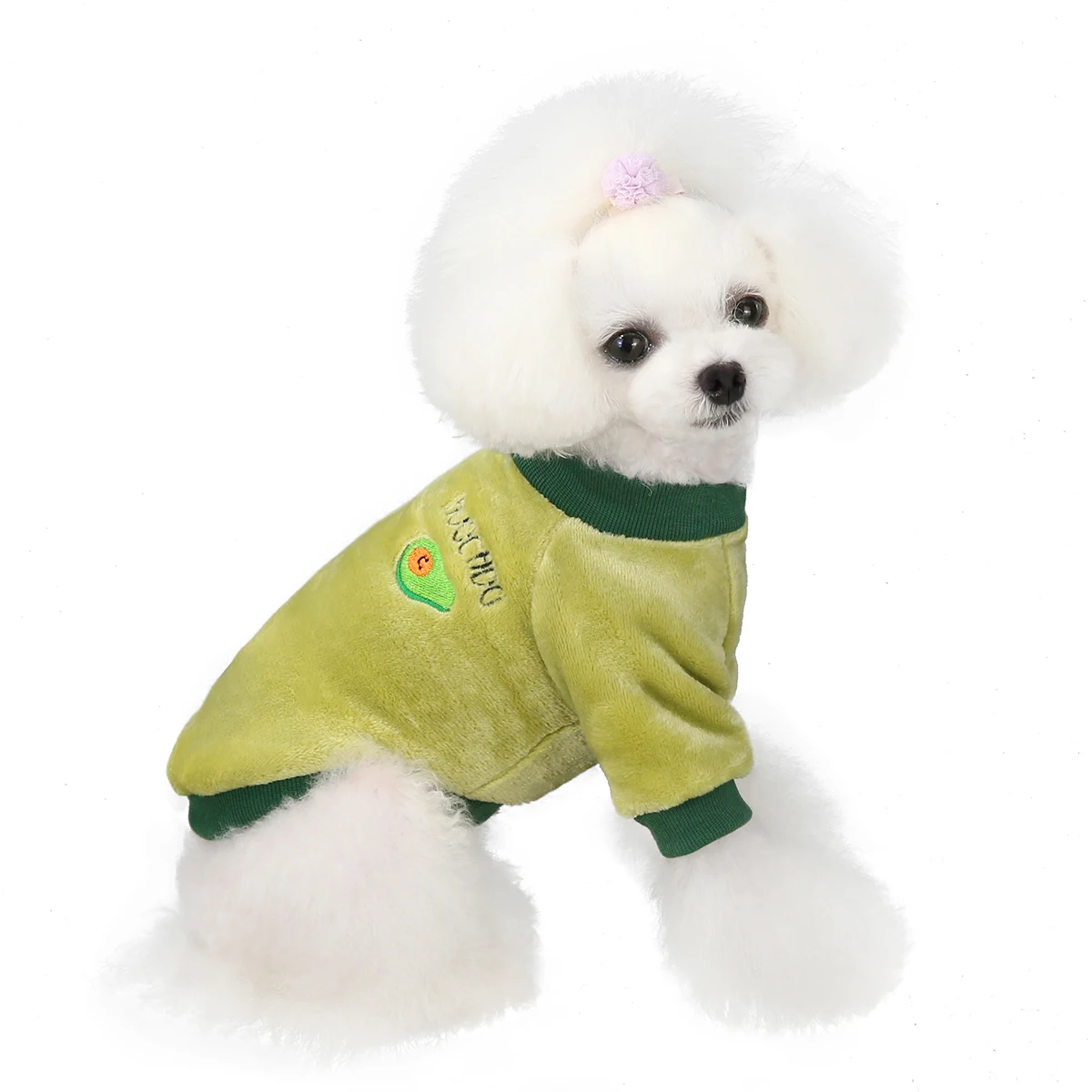 alibaba dog clothes