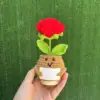 rojo 6