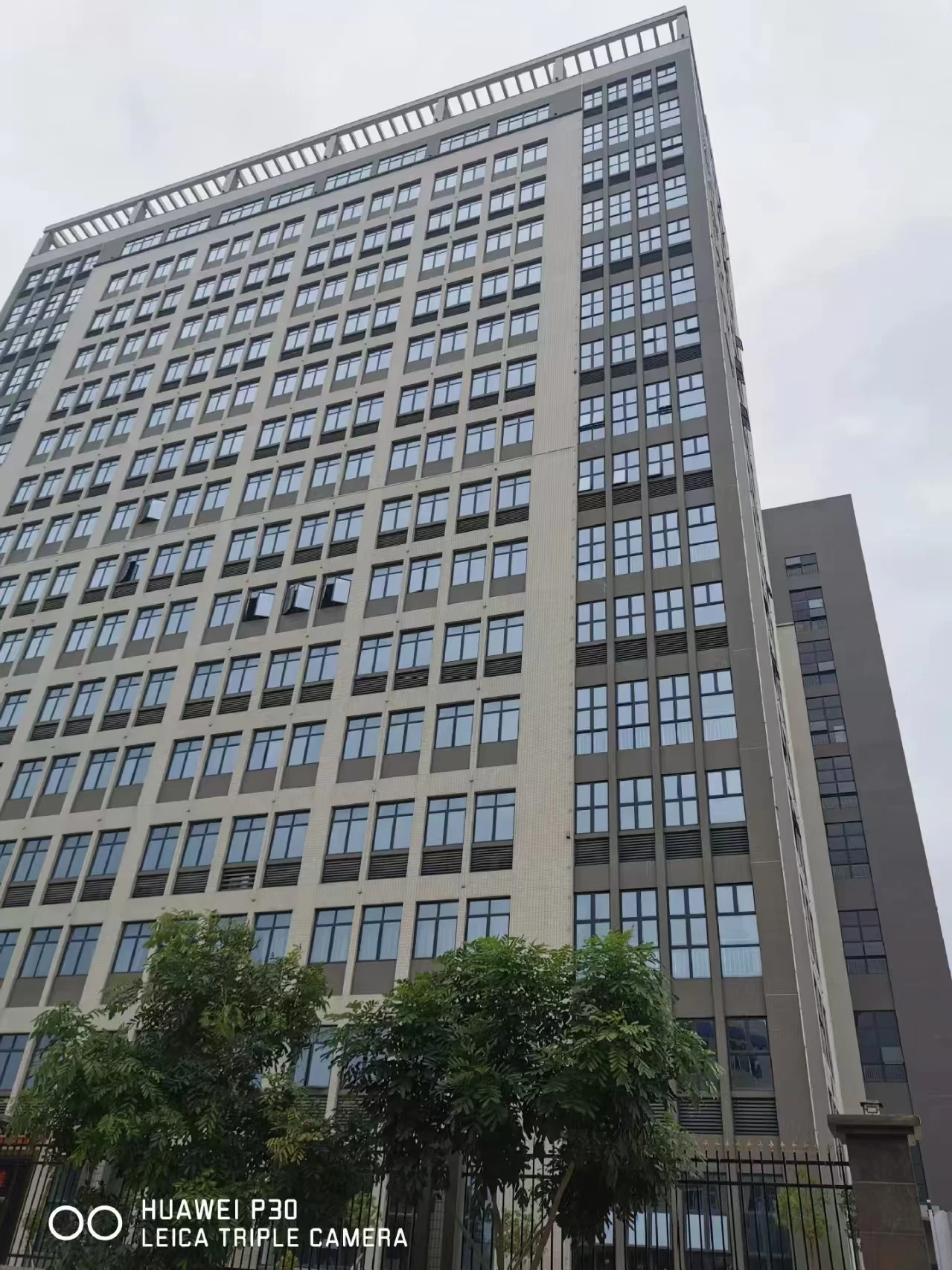 Dongguan Xiwanyun Health Industry Technology Co., Ltd. 2