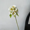 # 1 blanc