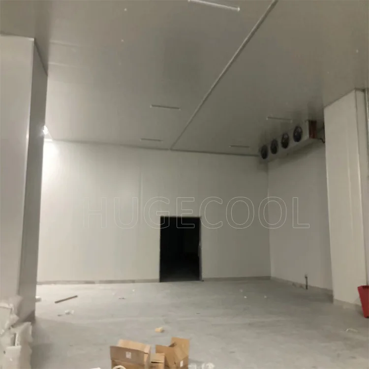 Hugecool Cold Room Walk in Freezer Food Cold Storage Rooms for Meat Vegetable Fish and Fruit