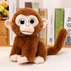 Big-eyed monkey