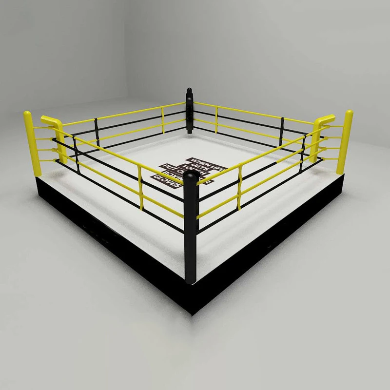 12ft Boxing Ring Boxing Steel Cover Canvas Ring Boxing Box Wrestling Ring for Kids