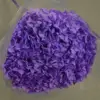 purple-1