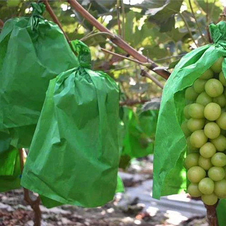 Sacchetto di carta protettivo per frutta e verdura impermeabile di