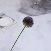 Morado oscuro
