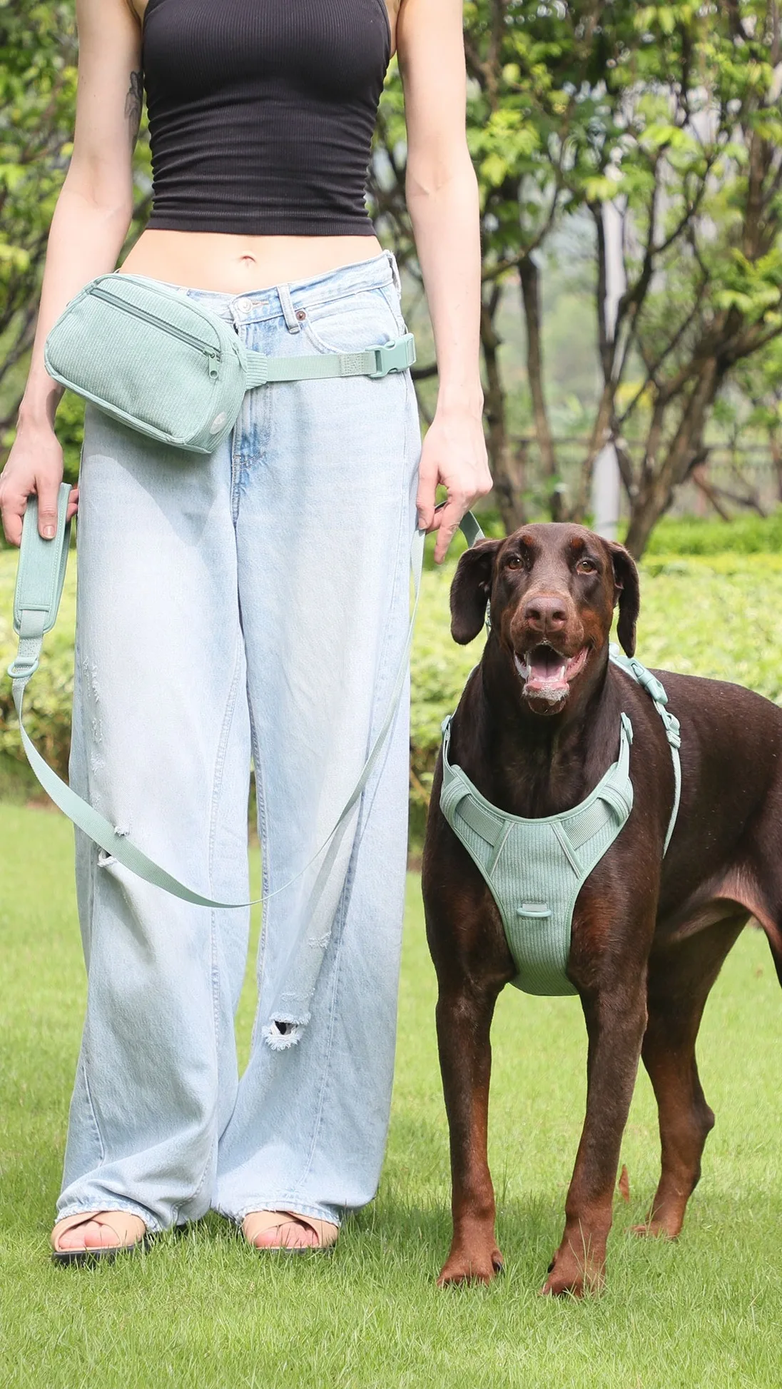 Luxury Corduroy No Pull Dog Harness Designer Custom Color Pet Collar