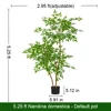 5,25 pieds/160 cm