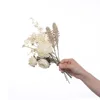 Autumn white