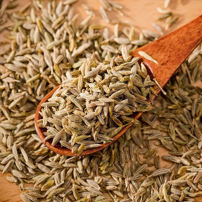 High Quality Supplier Price Indian Cumin Whole Spices Dried Cumin Seeds