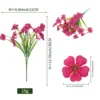 5-headed spring grass violet - rose red