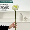 Ruyi loto blanco