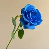 09-Azul zafiro